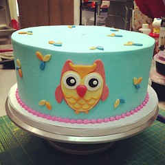  Birthday Cake on Owl Birthday Cake  Polkadotscupcakefactory