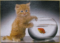 Kittens and Fish