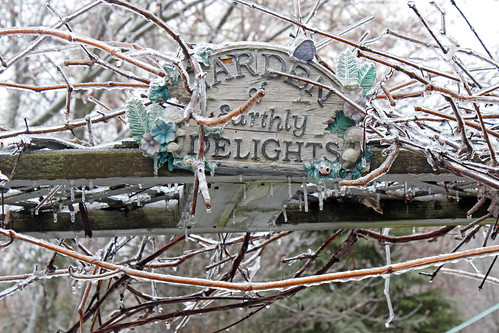 Ice Storm: Garden of Earthly Delights