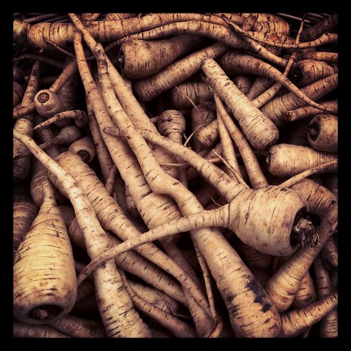 parsnips by Nature Morte