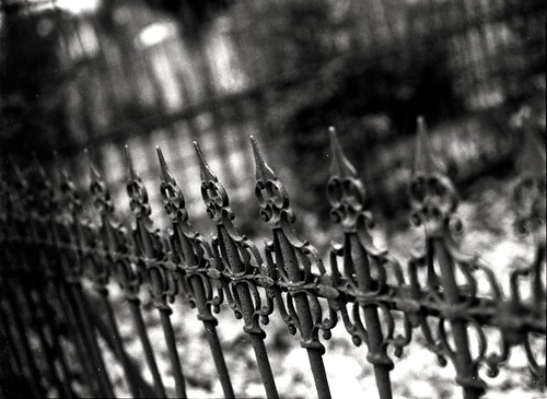 Wrought Iron Fence by Steve Snodgrass