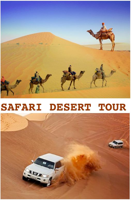 tour safari gurun