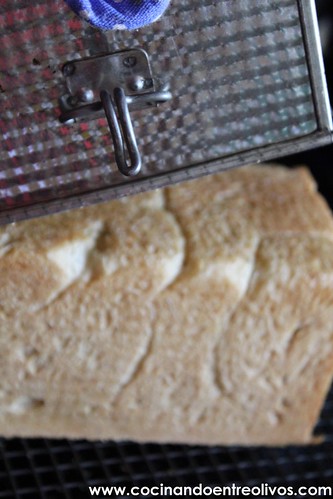 Pan de molde integral www.cocinandoentreolivos.com (28)