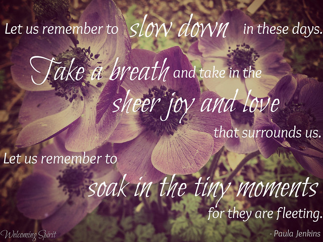 Let us remember to slow down in these days, take a breath, and take in the sheer joy and love that surrounds us, surrounds Ian and Sarah. Let remember to soak in the tiny moments for they are fleeting.
