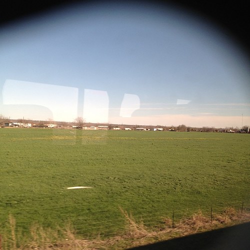 From our train window. It's flat but at least it's green. #texas #trainride