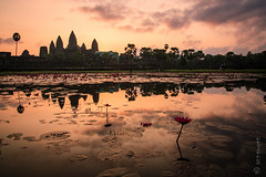 Timeless Angkor