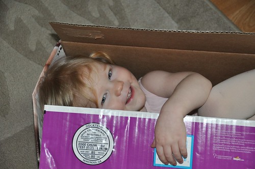Hadley in a box