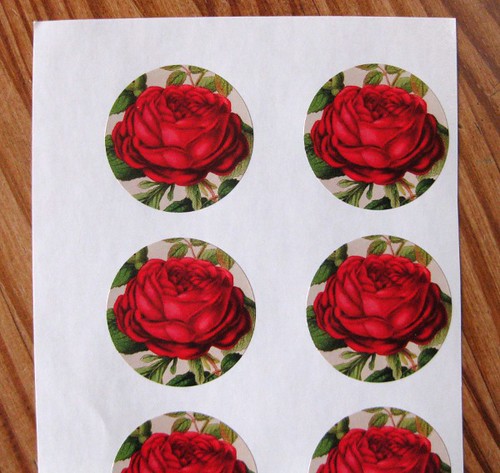 Rose sticker set