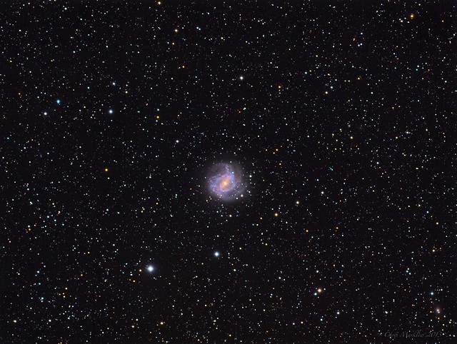NGC-5236 Southern Pinwheel Galaxy