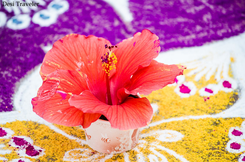 a hibiscus flower in center of a rangoli