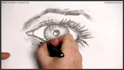 learn how to draw a human eye 021