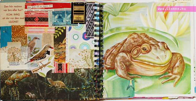 Journal: Toad