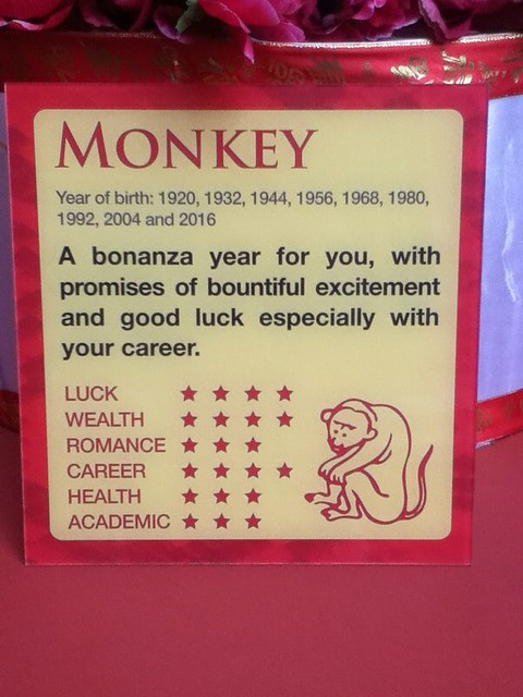 Monkey?