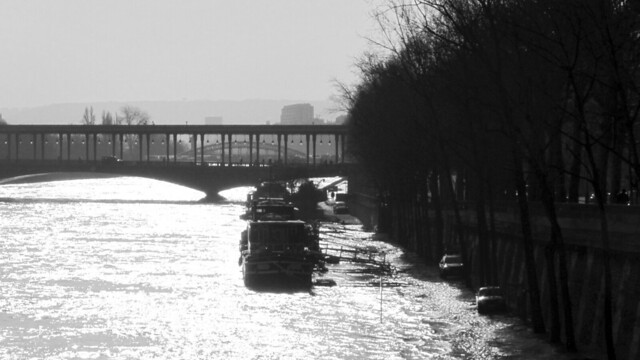 Flooded River Seine