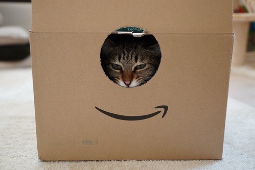 Amazon cat bitter smile