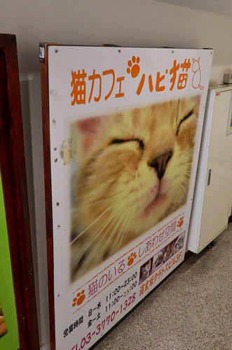 Hapineko Cat Cafe
