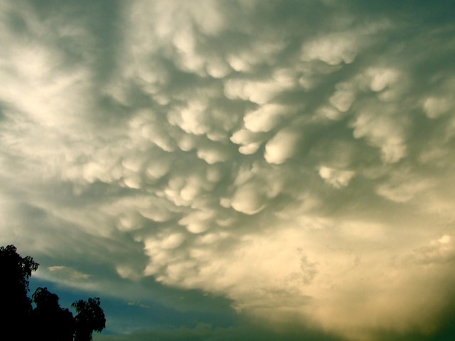 Mammatus clouds after Friday's afternoon deluge.