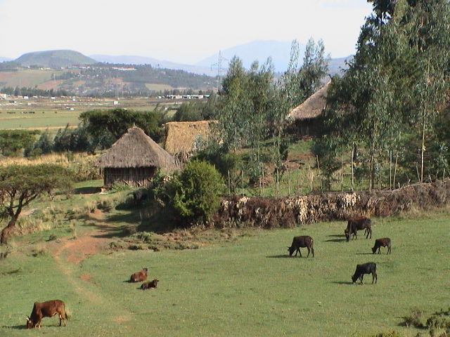 The-coutryside-in-Ethiopia