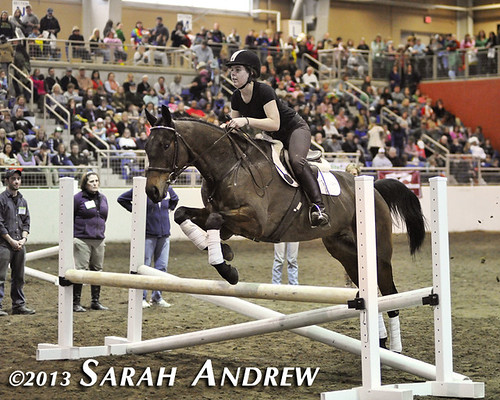 Katie Klenk and Suave Jazz at the PA Horse World Expo