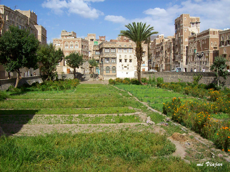 Jardin, Sanaa, Yemen