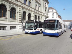 Bus trolleybus et minibus de Genève (Suisse)