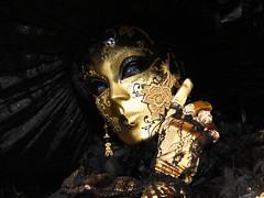 Venice & The Carnival 2013