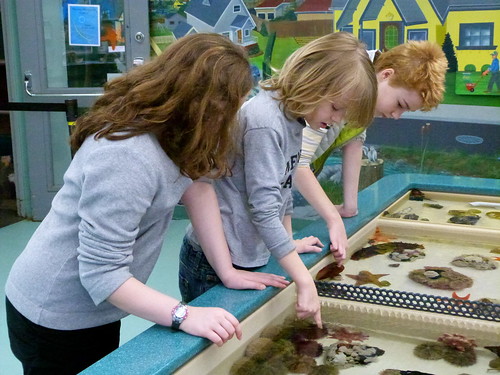 Kids At The Touch Tank