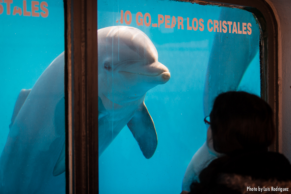 Zoo Aquarium Madrid 2013-10