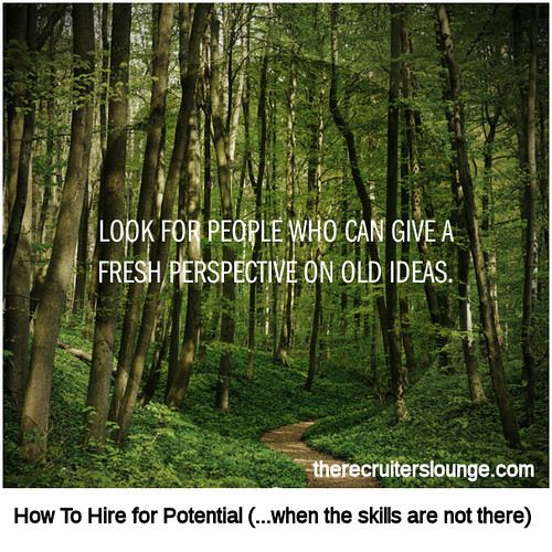 How To Hire for Potential (4 of 5)