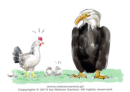 aguias-galinhas-passarinhos-benfica-bordeaux by caricaturas