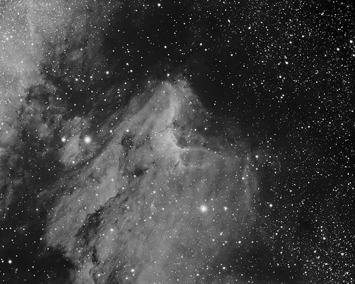 Pelican Nebula by Mick Hyde