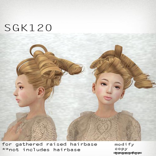 booN SGK120 hair