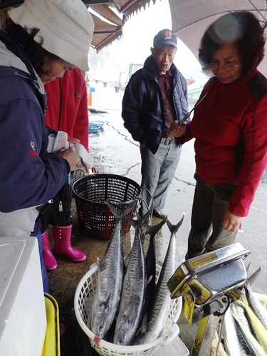 今年東部馬加漁獲情形良好，為魚市帶來一些生機。攝影：廖律清