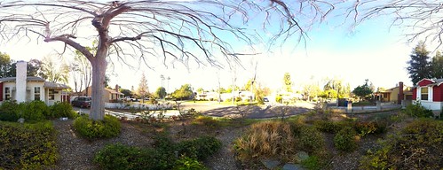 Front Garden Panorama This Morning 20130312