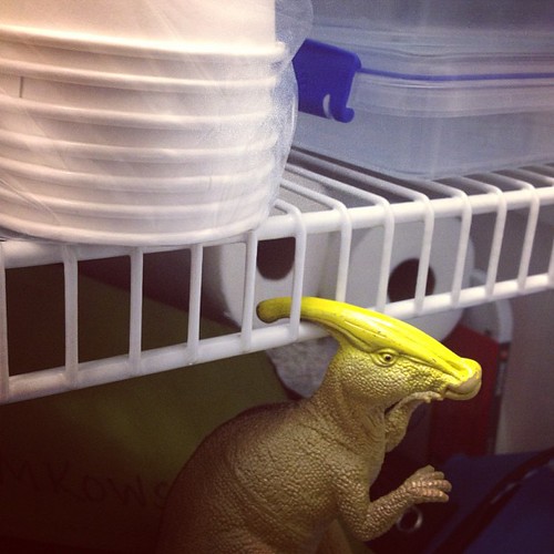 Just hanging out in the pantry, #parasaurolophus? #dinosaurs #toys