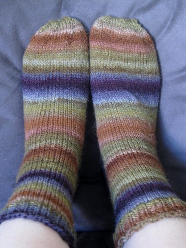Gobbler Cheviot socks