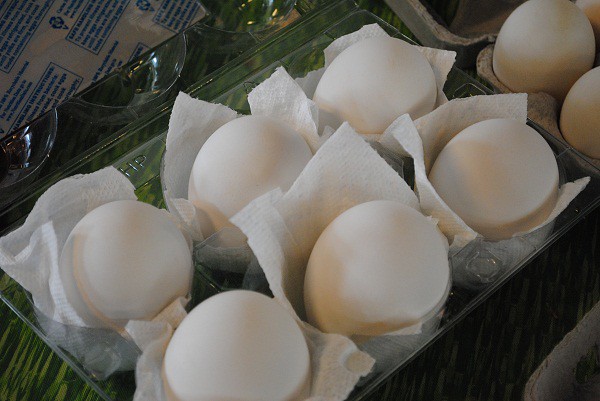 ostrich eggs green city market