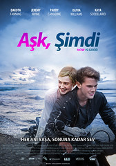 Aşk, Şimdi - Now Is Good (2013)