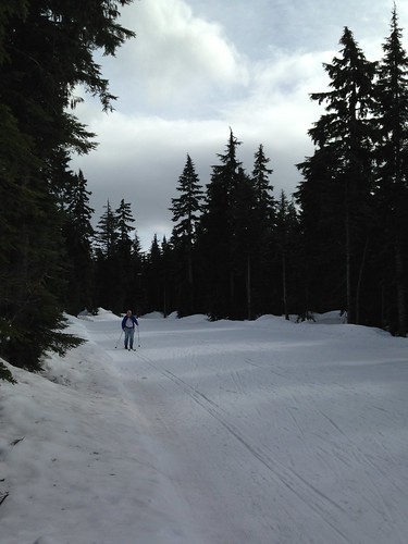 Cross-country skiing on Hollyburn Mountain in Vancouver