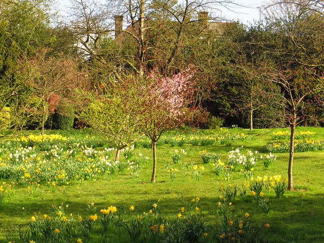 The Orchard in Golders Hill Park