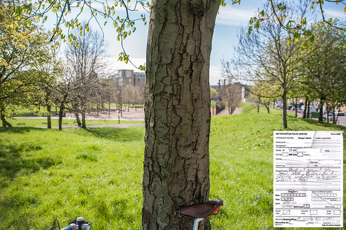 Stop and account order. Seen taking photographs in Spring Gardens as if from behind a tree. by mdx