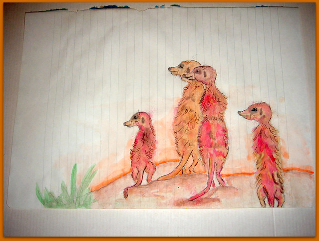 09-Meerkats and Owls Gufo, gufetto, suricato, suricati, 