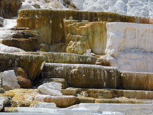 Some of the terraces at Palette Spring, Mammoth Hot Springs, Yellowstone National Park, Wyoming