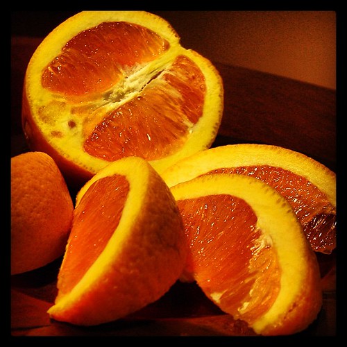 #fmsphotoaday February 8 - Something orange