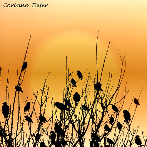 "Sky & Earth" - "Ciel & Terre" by Corinne DEFER - DoubleCo