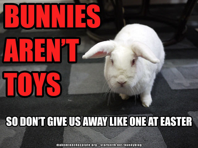 gus - bunnies aren't toys
