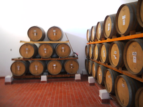 Santo Winery