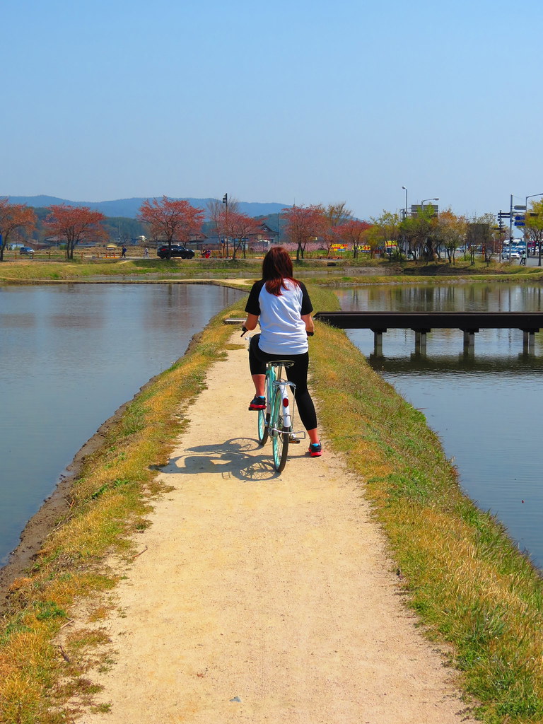 Gyeongju Bike Tour