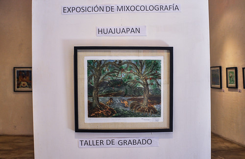 Huajuapan -  Museo (01)