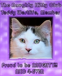 teddy westlife member